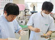 すべての技工物を製作